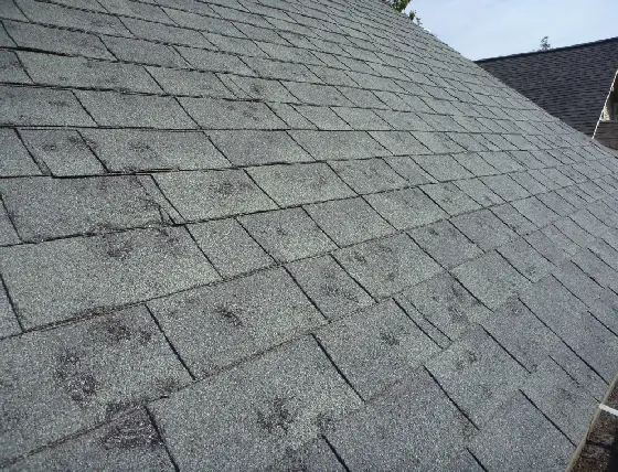Storm damage roofing Central Illinois asphalt shingles with hail impact marks